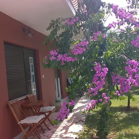 Apartment Dadule *